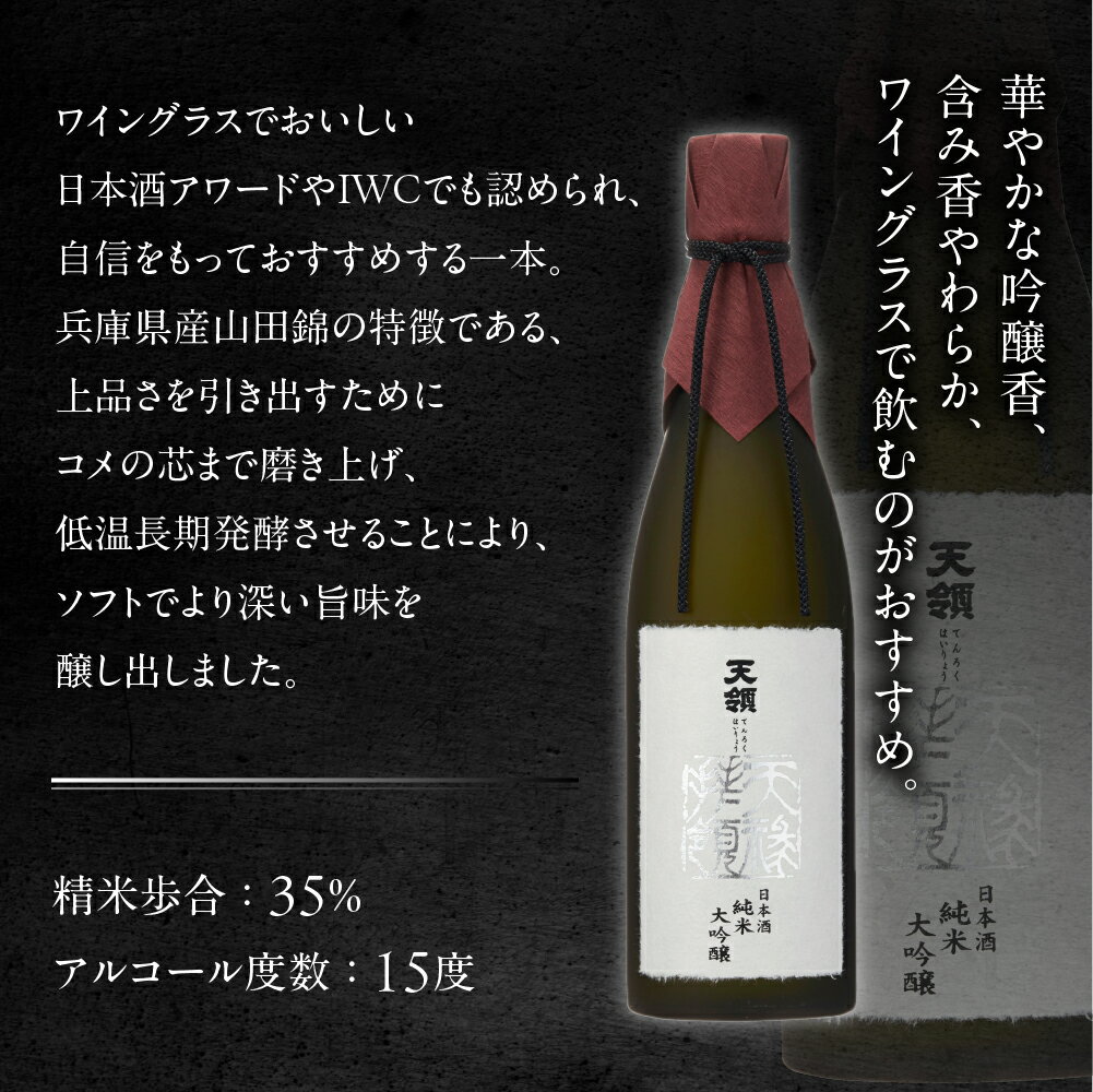 【ふるさと納税】【天領酒造】純米大吟醸 天禄拝領 （720ml×1本）酒 お酒 下呂温泉 日本酒 下呂市 天領 サムネイル2