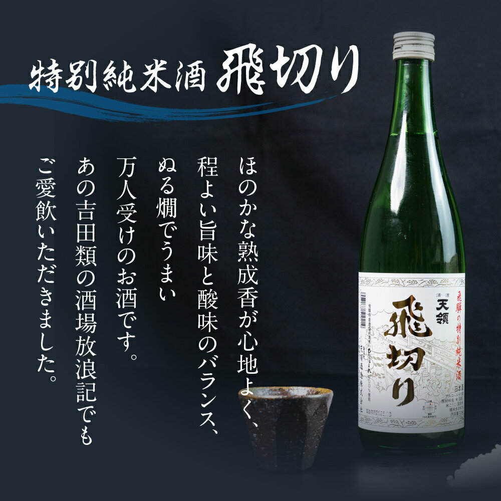 【ふるさと納税】天領酒造 特別純米酒飛切り 720ml 1本・山仙キューブ米3個（1個 300g）セット 純米吟醸 天領 酒 日本酒 米 ギフト いのちの壱 山仙 贈答 下呂市 サムネイル2