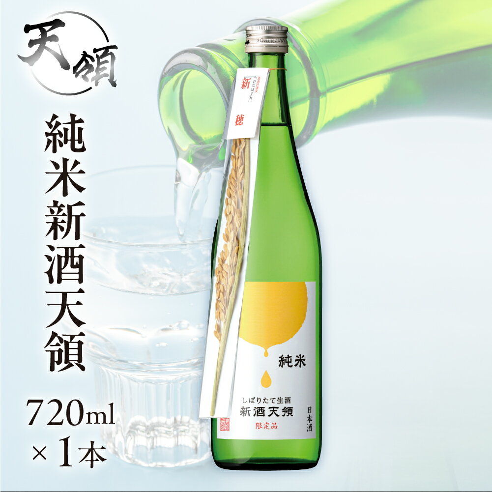 （2025年11月上旬頃から順次発送）【天領酒造】純米しぼりたて生酒 新酒天領（720ml×1本）お酒 酒 日本酒 下呂市 期間限定 岐阜県