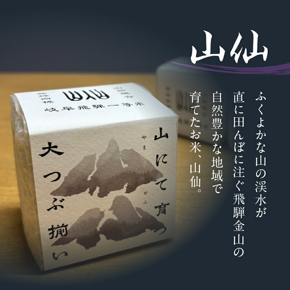 【ふるさと納税】天領酒造 純米吟醸原酒 ひだほまれ55 720ml 1本・山仙キューブ米3個（1個 300g）セット 純米吟醸 天領 酒 日本酒 米 ギフト いのちの壱 山仙 贈答 下呂市 サムネイル3