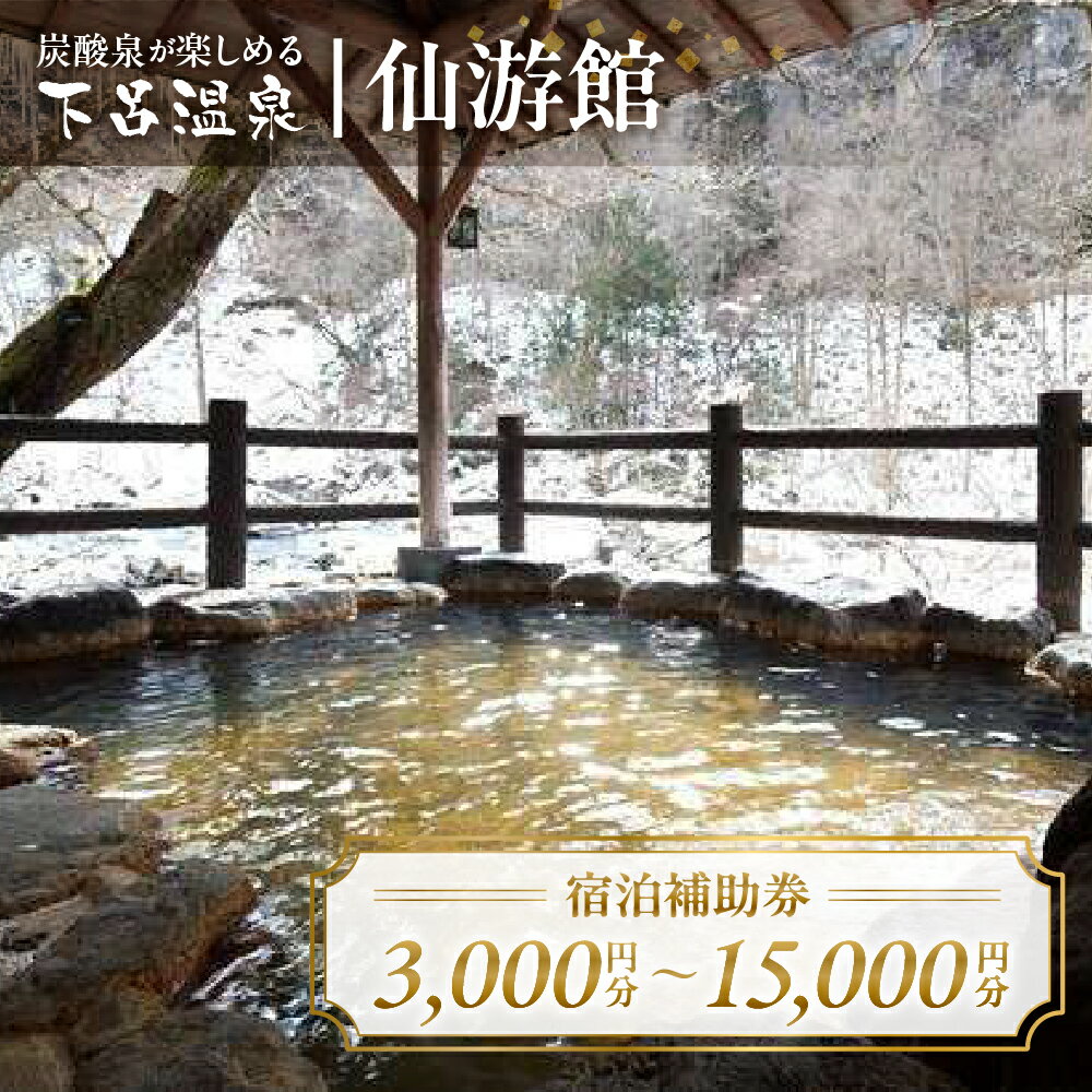 下島温泉 仙游館 宿泊補助券 3,000円〜15,000円分 旅館 温泉 旅行 下呂市 宿泊券 小坂 せんゆうかん 旅 10000円 1万円