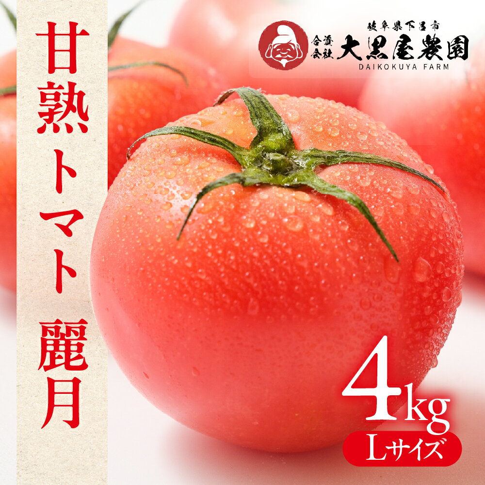 先行予約【期間限定】（2026年7月上旬頃から順次発送）大黒屋農園 甘塾トマト 麗月 Lサイズ 4kg レイゲツ とまと 下呂市【大黒屋農園】