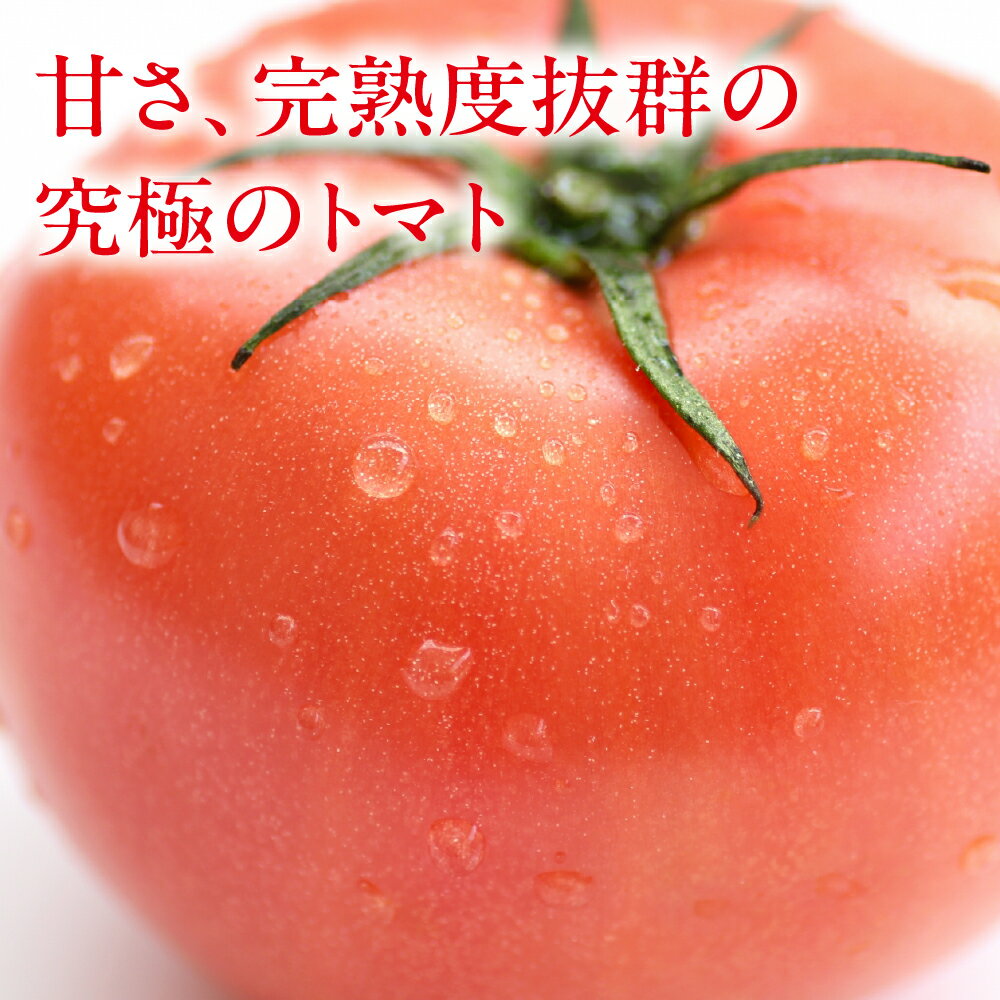 【ふるさと納税】先行予約【期間限定】（2026年7月上旬頃から順次発送）大黒屋農園 甘塾トマト 麗月 Lサイズ 4kg レイゲツ とまと 下呂市【大黒屋農園】 - 画像3