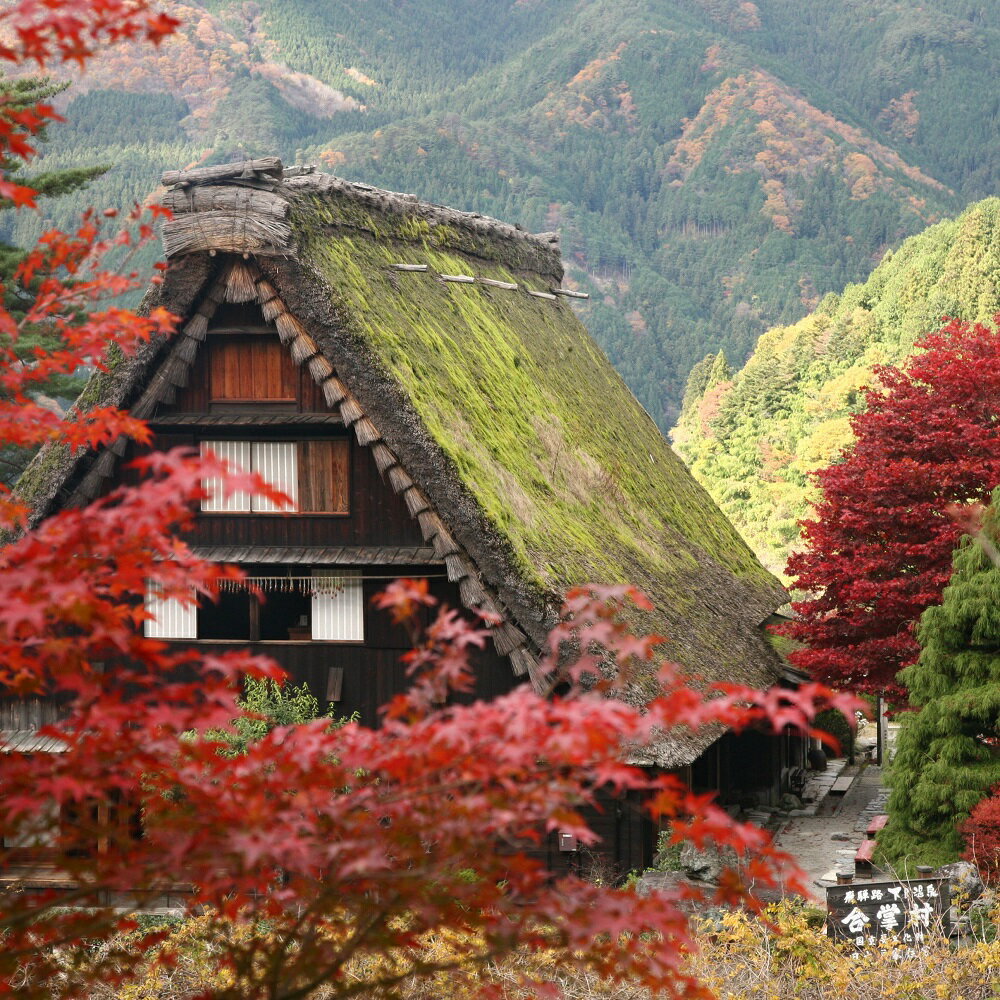 【ふるさと納税】下呂温泉合掌村入場券　2枚 (大人 2名様分)　観光施設 年中無休 合掌村 合掌造り チケット 陶芸体験 体験 足湯 5000円 岐阜県 下呂市 サムネイル2