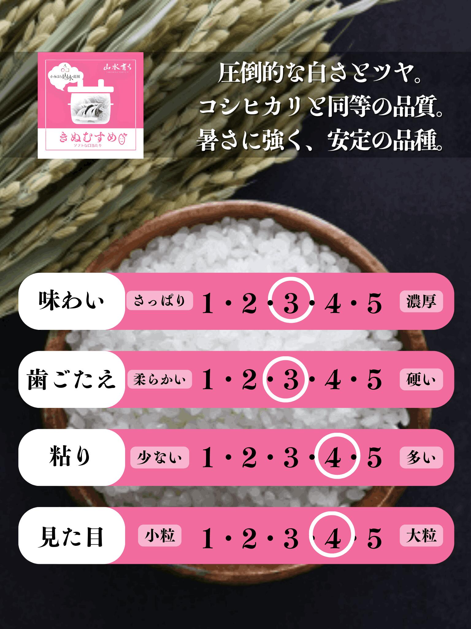 【ふるさと納税】【2025年産】きぬむすめ 5kg 精米 米 令和7年産【かみはら山水農園】上原 下呂市 かみはら お米　世界最高米受賞 農家直送 送料無料 - 画像2