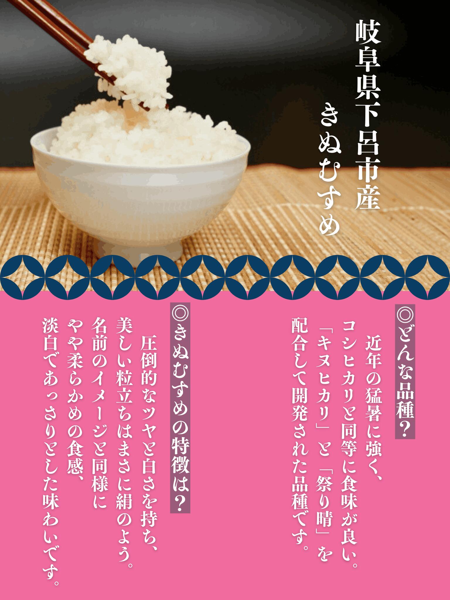 【ふるさと納税】【2025年産】きぬむすめ 5kg 精米 米 令和7年産【かみはら山水農園】上原 下呂市 かみはら お米　世界最高米受賞 農家直送 送料無料 - 画像3