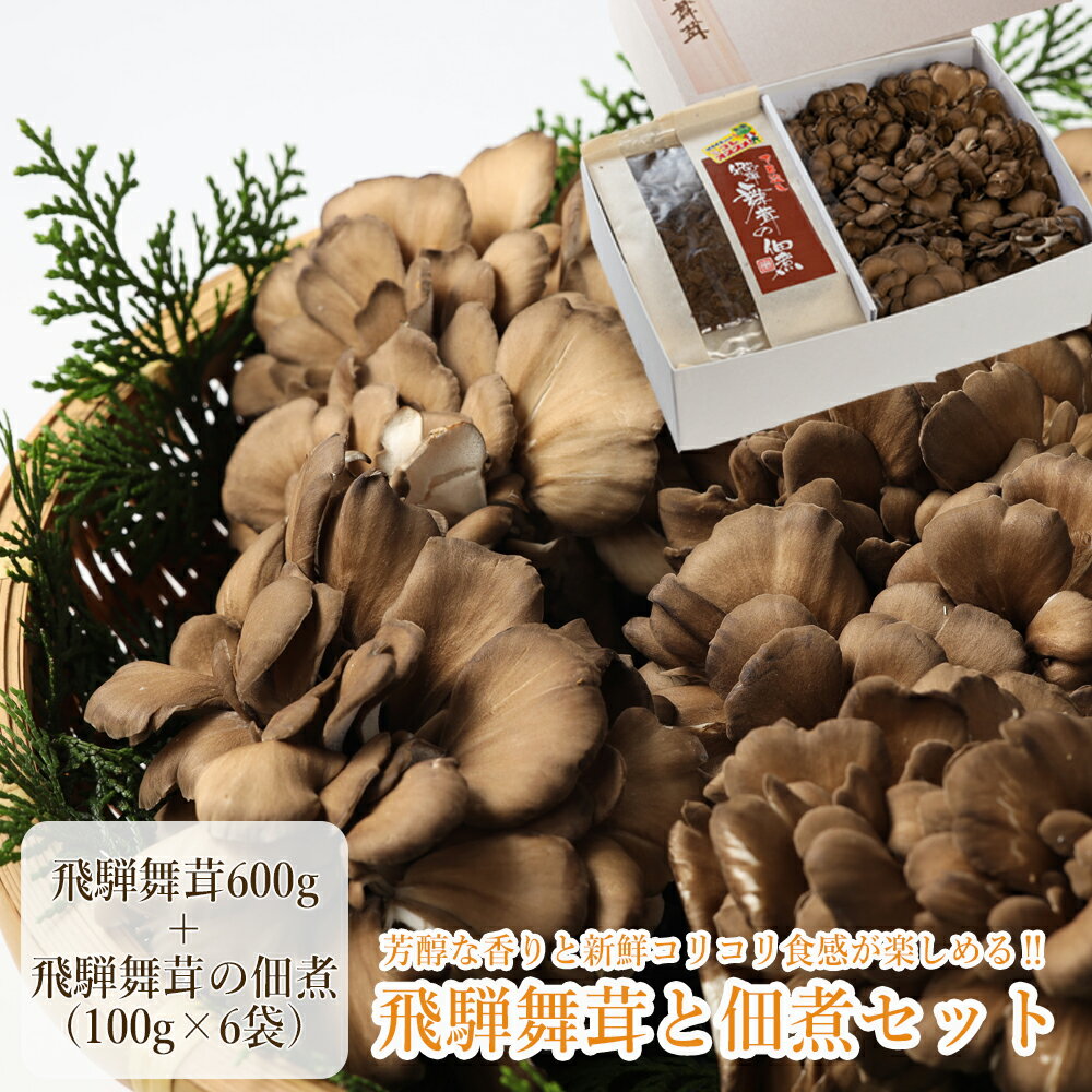 飛騨舞茸と佃煮のセット　(飛騨舞茸 600g ・舞茸の佃煮 600g（100g×6袋） 舞茸 マイタケ まいたけ 下呂温泉 おすすめ きのこ 佃煮 惣菜 おかず TVで紹介された品 テレビで紹介 テレビで放送 9000円 岐阜県 下呂市