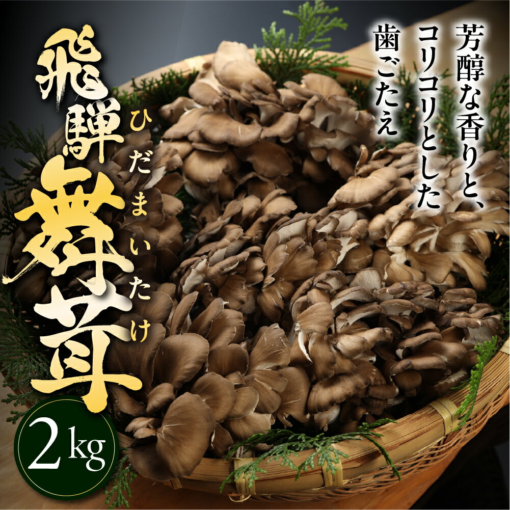 飛騨舞茸 2kg 簡易包装 訳あり 黒舞茸 舞茸 まいたけ 高級 自宅用 大量 たっぷり 天ぷら 炒め物 低カロリー ヘルシー 14000円 マイタケ まいたけ キノコ 岐阜県 下呂市 きのこ 大容量