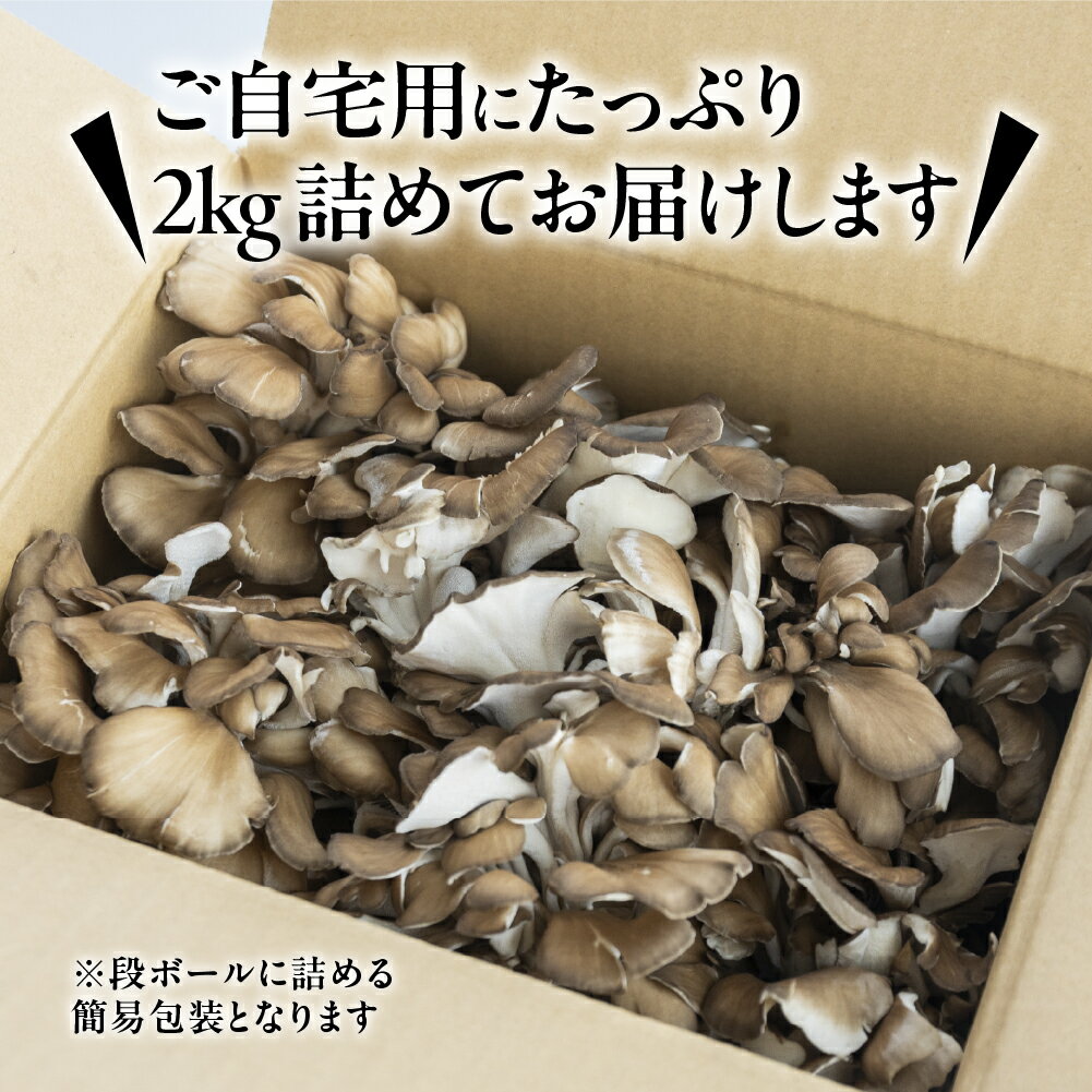 【ふるさと納税】飛騨舞茸 2kg 簡易包装 訳あり 黒舞茸 舞茸 まいたけ 高級 自宅用 大量 たっぷり 天ぷら 炒め物 低カロリー ヘルシー 14000円 マイタケ まいたけ キノコ 岐阜県 下呂市 きのこ 大容量 - 画像3