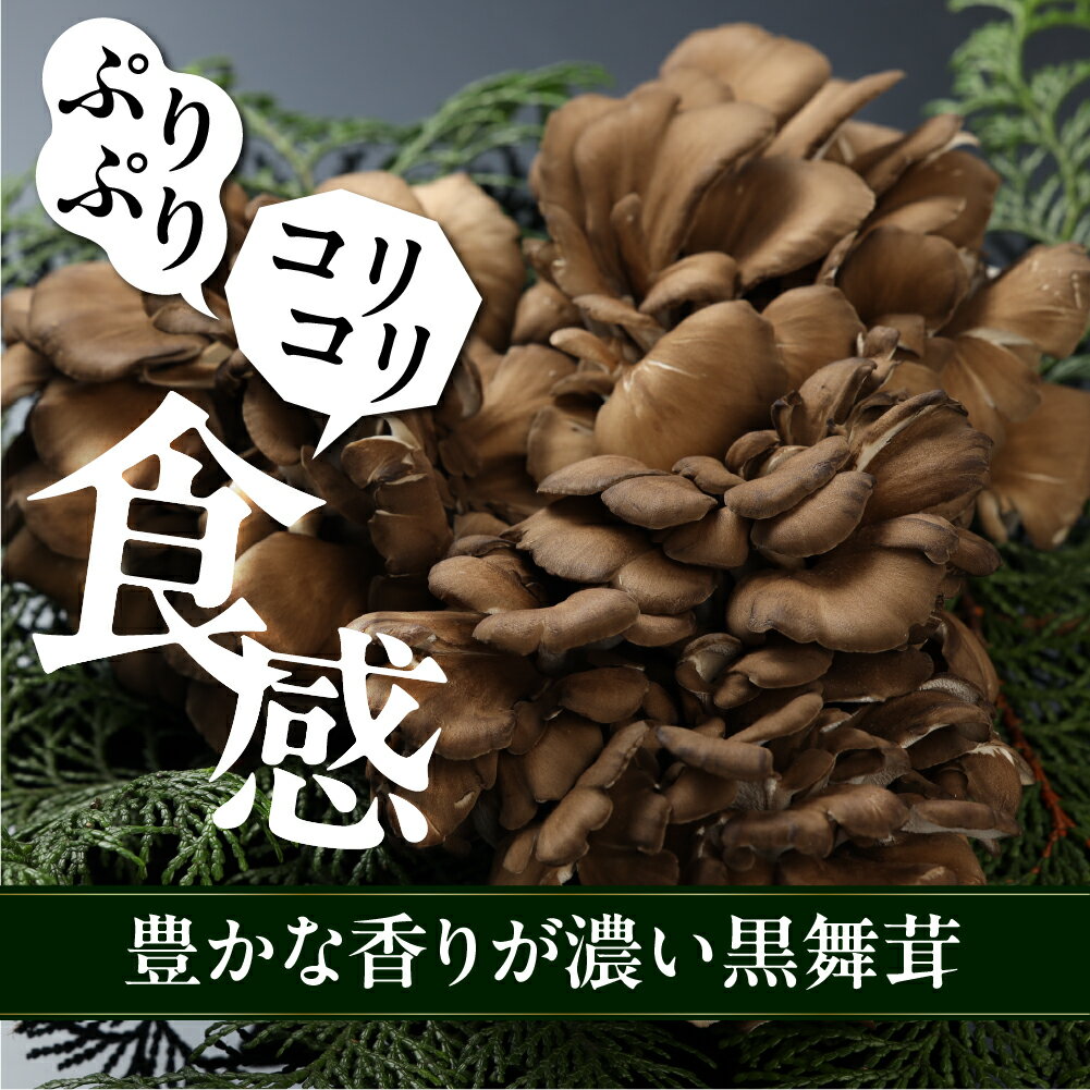【ふるさと納税】飛騨舞茸 2kg 簡易包装 訳あり 黒舞茸 舞茸 まいたけ 高級 自宅用 大量 たっぷり 天ぷら 炒め物 低カロリー ヘルシー 14000円 マイタケ まいたけ キノコ 岐阜県 下呂市 きのこ 大容量 - 画像2