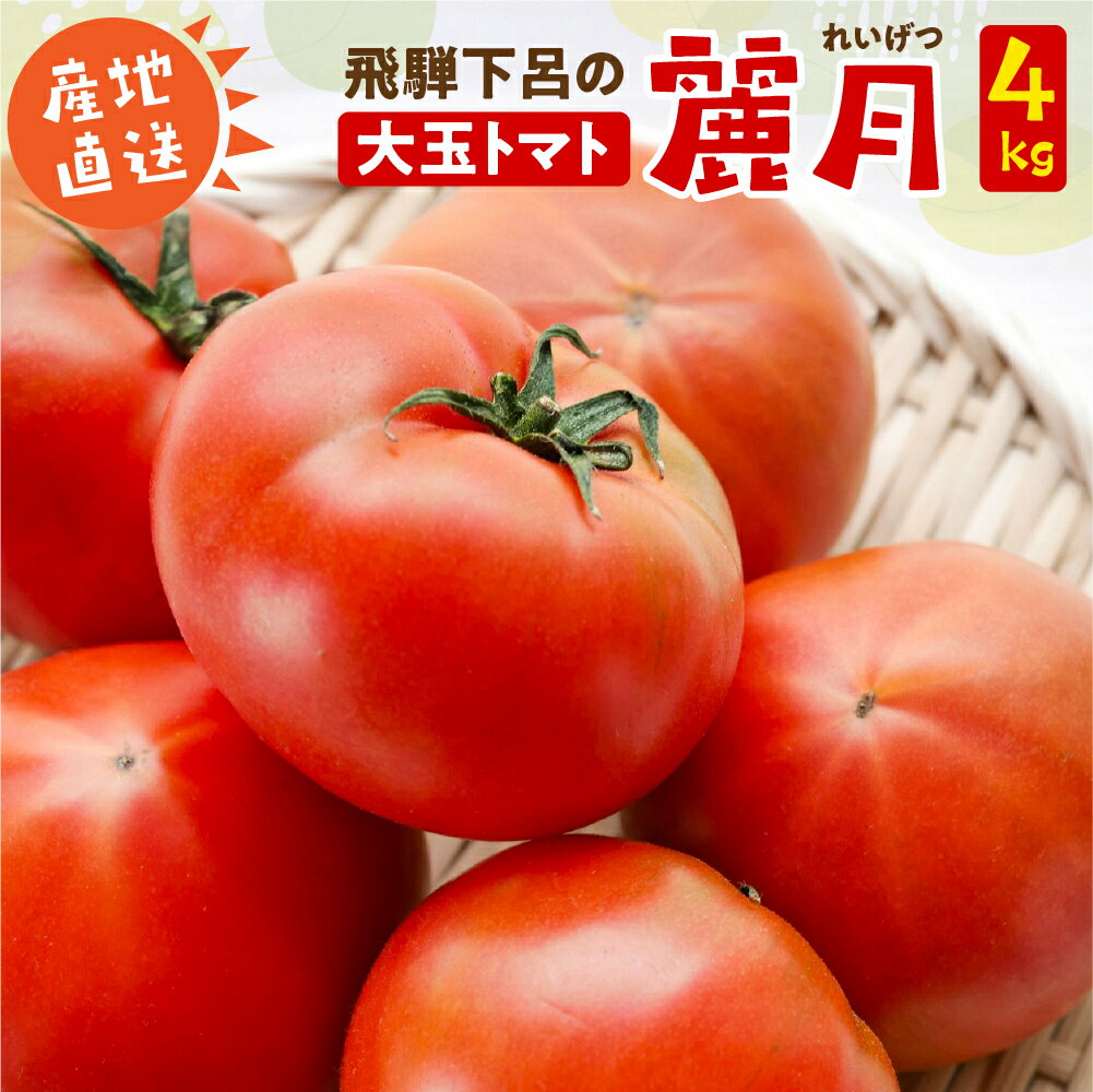 先行予約 ≪期間限定≫（2026年7月中旬頃から順次発送）産地直送！飛騨トマト 麗月大玉20玉（4kg） 下呂市 とまと トマト 新鮮 野菜 レイゲツ れいげつ