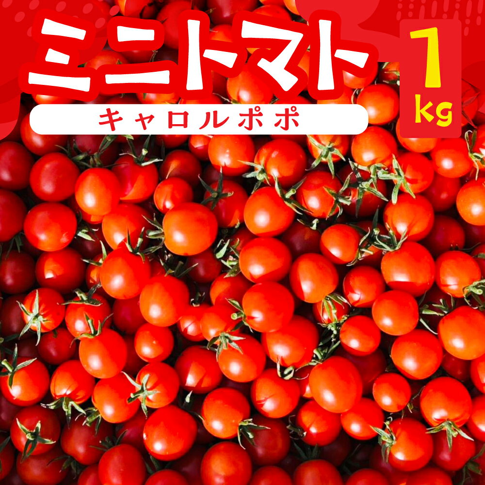 先行予約（2026年8月上旬頃から順次発送）ミニトマト（キャロルポポ） 1kg ミニトマト 夏季限定 期間限定 限定 1キロ 飛騨 下呂 とまと トマト 新鮮 国産 野菜
