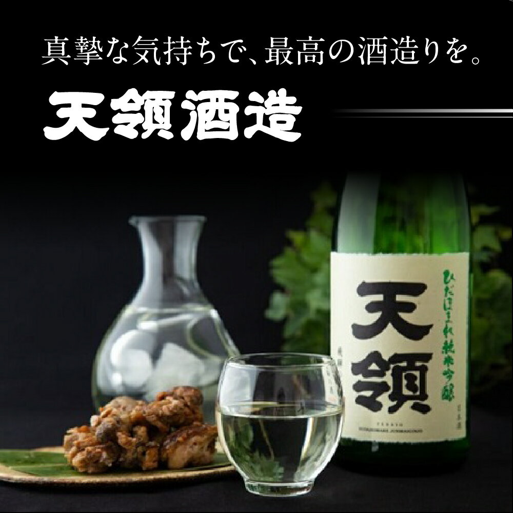 【ふるさと納税】【天領酒造】純米大吟醸 天禄拝領 （720ml×1本）酒 お酒 下呂温泉 日本酒 下呂市 天領 サムネイル3