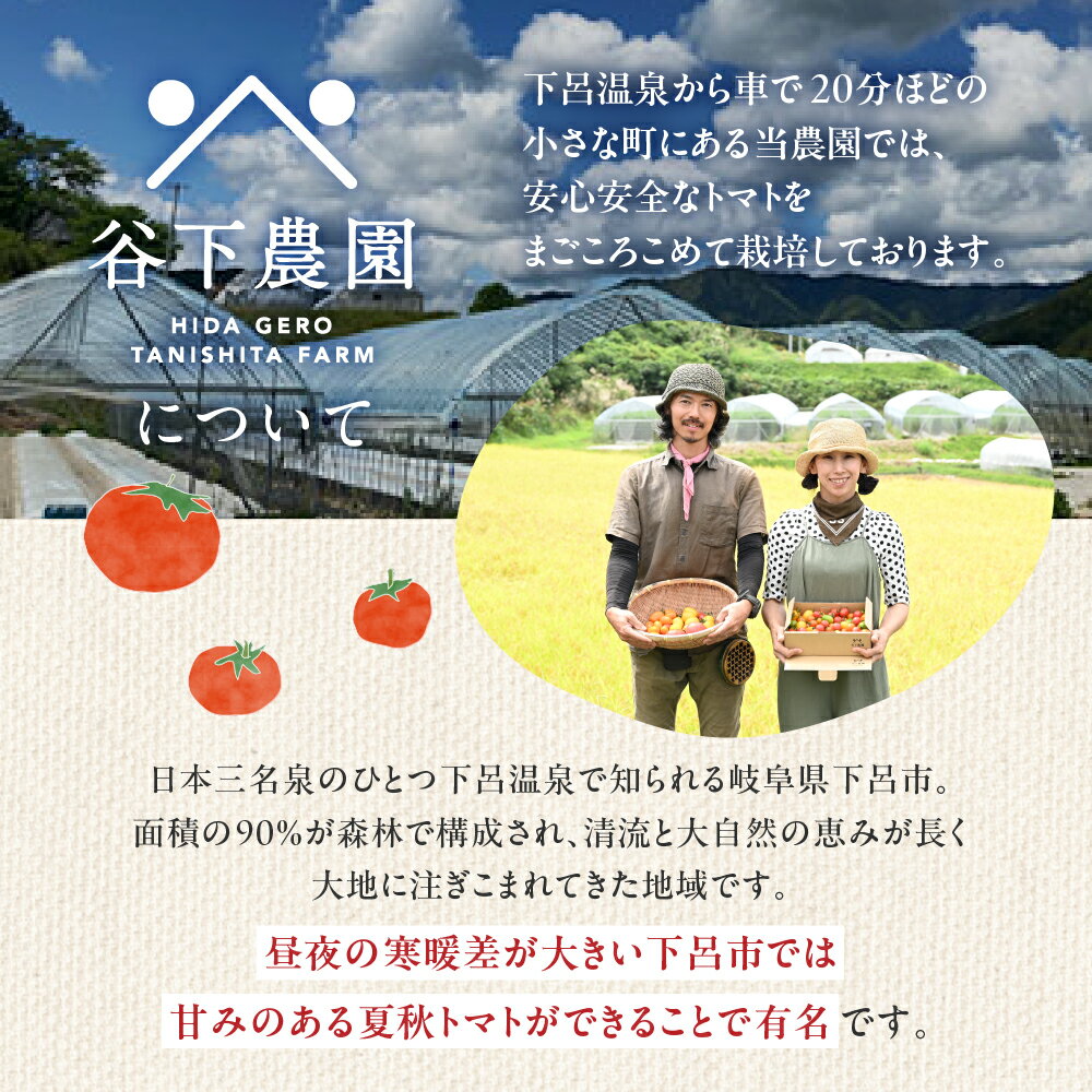 【ふるさと納税】予約受付【2026年7月下旬頃から順次発送】＜有機JAS認証＞訳アリ 約 1kg 大地の恵みがぎゅーっと詰まった果肉が厚い大玉トマト 麗月 有機JAS認証 レイゲツ れいげつ とまと 訳あり 下呂温泉 特産品 4000円 岐阜県 下呂市 - 画像3