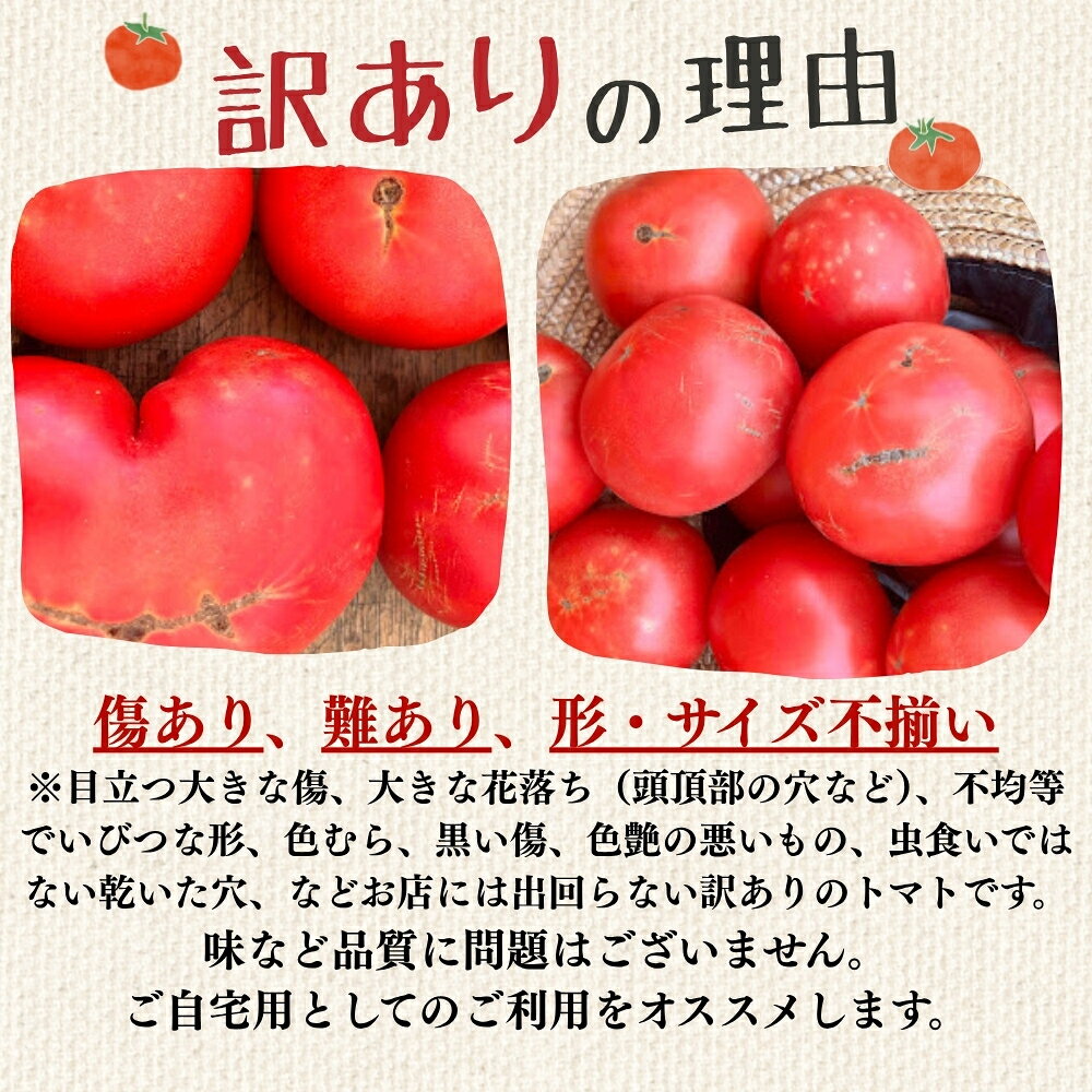 【ふるさと納税】予約受付【2026年7月下旬頃から順次発送】＜有機JAS認証＞訳アリ 約 1kg 大地の恵みがぎゅーっと詰まった果肉が厚い大玉トマト 麗月 有機JAS認証 レイゲツ れいげつ とまと 訳あり 下呂温泉 特産品 4000円 岐阜県 下呂市 - 画像2