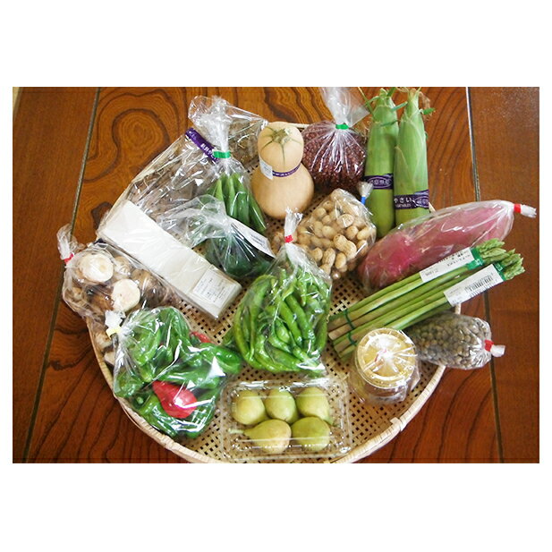 採れたて！旬の新鮮野菜 詰め合わせ