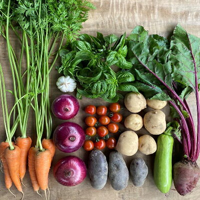 季節の野菜セット6か月連続お届け　栽培期間中　無農薬、無科学肥料