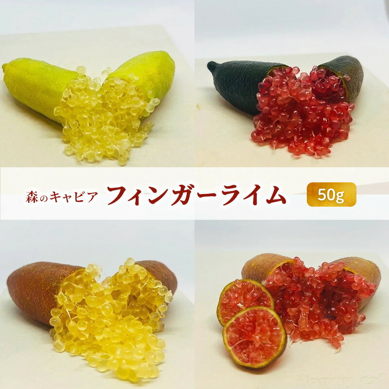 フィンガーライム 50g 森のキャビア キャビアライム フルーツキャビア　お届け：2025年7月上旬～2026年1月中旬