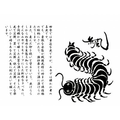 【ふるさと納税】無風　純米別拵　720ml　3本セット【1480861】 サムネイル3