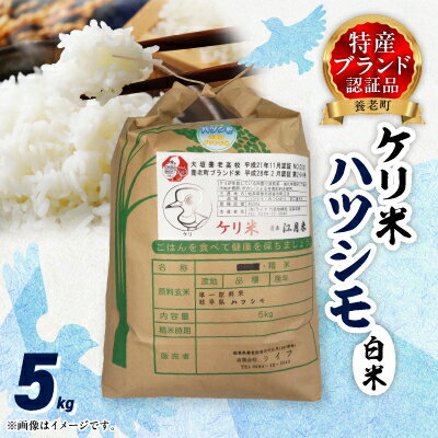 令和7年岐阜県養老産ケリ米ハツシモ　白米5kg【1512097】