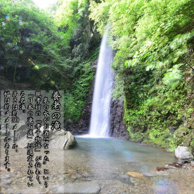 【ふるさと納税】ピークモルト美濃養老2025【1629889】 サムネイル3