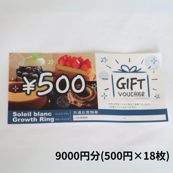 店舗利用券9000円分