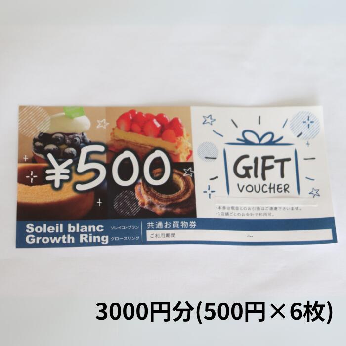 店舗利用券3000円分