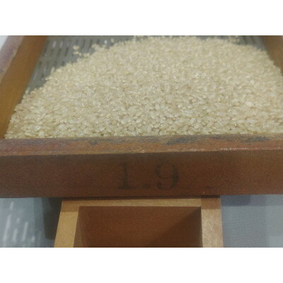 【ふるさと納税】夢ふうせん　白米5kg【1482861】 - 画像2