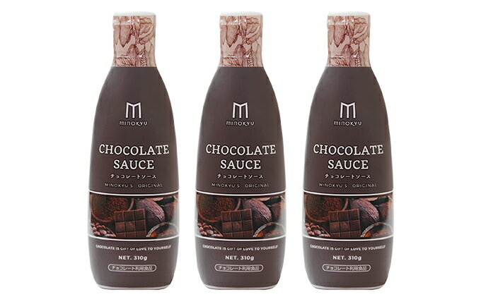 【ふるさと納税】チョコレートソース　310g　3本セット 調味料 スイーツ お菓子 サムネイル2