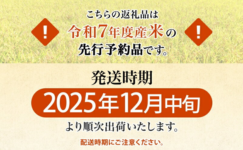 【ふるさと納税】R7年産 特選米 ハツシモ 精米 10kg ×1袋 お米 米 白米 ごはん 新米 精白米 ご飯 はつしも 令和7年産 ブランド米 低農薬 お取り寄せ 産地直送 クリーンファームまき 送料無料 岐阜県 安八町　お届け：2025年12月中旬～2026年11月下旬 - 画像3