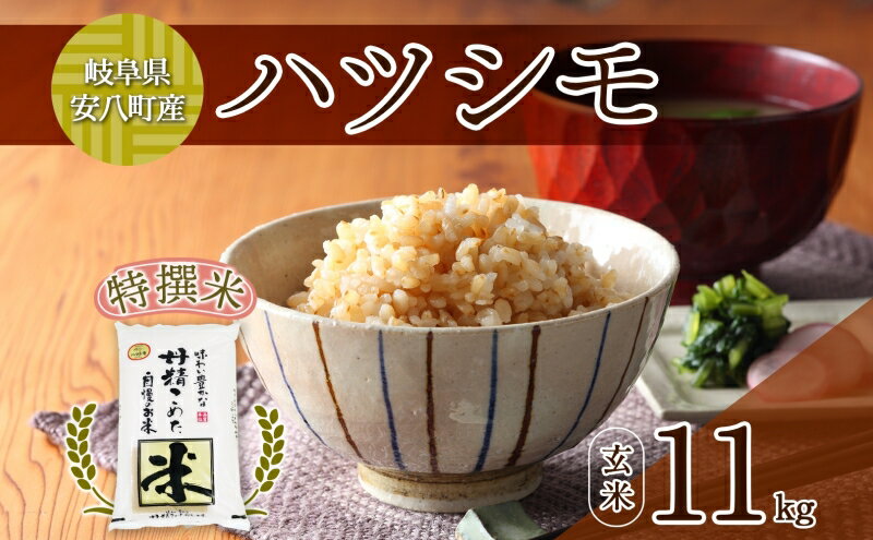 【ふるさと納税】R7年産 特選米 ハツシモ 玄米 11kg ×1袋 お米 米 ごはん 新米 ご飯 はつしも 令和7年産 ブランド米 低農薬 お取り寄せ 産地直送 クリーンファームまき 送料無料 岐阜県 安八町　お届け：2025年12月中旬～2026年11月下旬 - 画像2