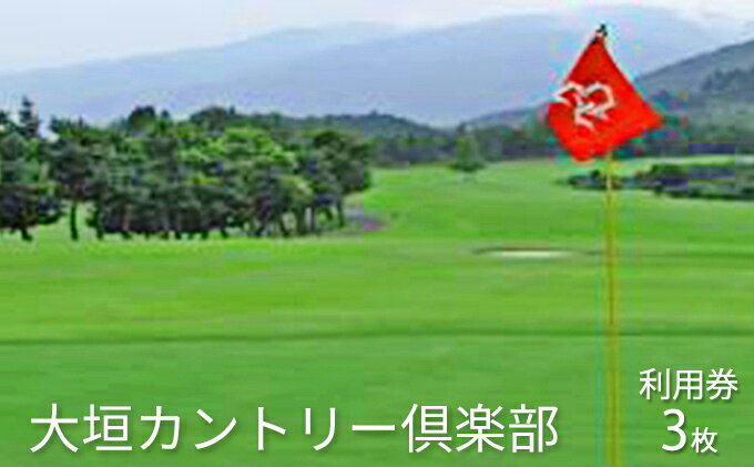 【ふるさと納税】大垣カントリー倶楽部利用券（1000円券×3枚） ゴルフ場利用権 チケット スポーツ サムネイル2