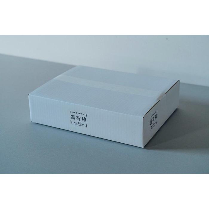 【ふるさと納税】【先行予約：2025年11月下旬～発送】岐阜県大野町産 富有柿　2L 12個入り サムネイル3