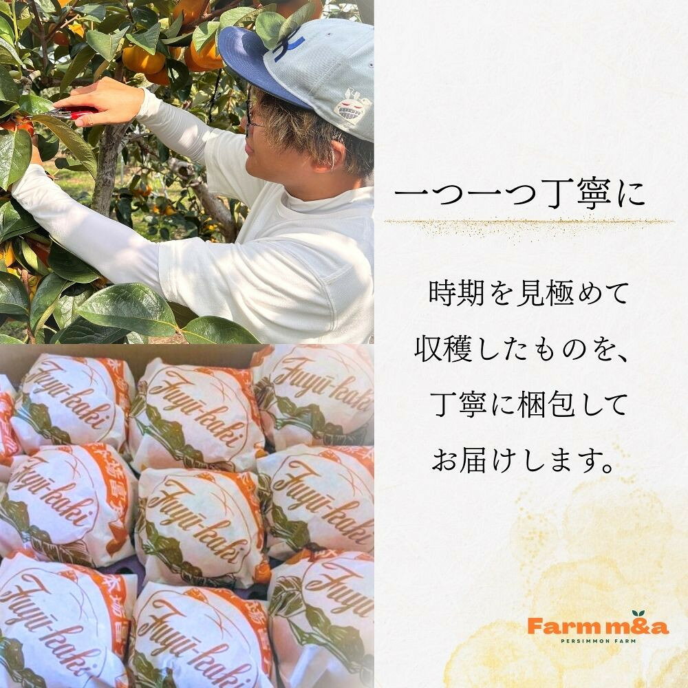 【ふるさと納税】【先行予約】Farm m&aの富有柿 2L×12個 秀品 岐阜県 大野町（2025年11月下旬～発送）農家直送 果物 フルーツ 秋の味覚 柿 かき 富有 ふゆう | 柿 かき カキ 富有柿 岐阜の柿 甘柿 果物 大野町 特産品 サムネイル3