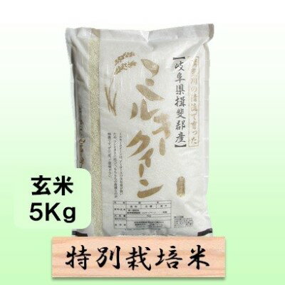 特別栽培米★玄米5kg 【ミルキークイーン】 お米 ブランド米 銘柄米 ご飯 おにぎり モチモチ 低アミロース米 冷めても美味しい 　お届け：2025年10月上旬～2026年9月下旬