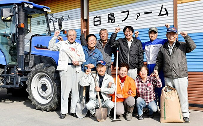 【ふるさと納税】特別栽培米★玄米5kg 【ミルキークイーン】 お米 ブランド米 銘柄米 ご飯 おにぎり モチモチ 低アミロース米 冷めても美味しい 　お届け：2025年10月上旬～2026年9月下旬 - 画像3