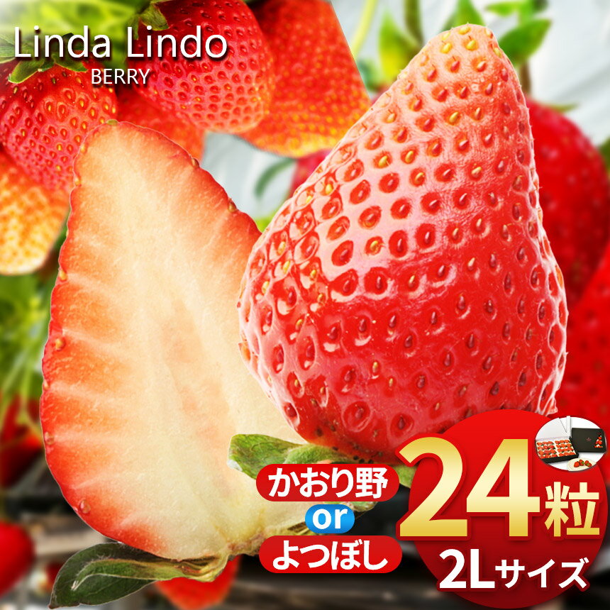 【2026先行予約】いちご Linda Lindo BERRY 2Lサイズ 12粒x2 計24粒 | かおり野 よつぼし 苺 イチゴ 季節限定 岐阜県 北方町 送料無料 いちご プレゼント 贈り物 ギフト 贈答