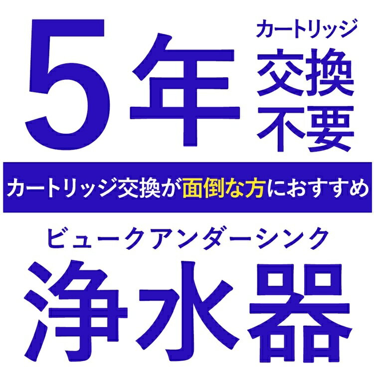【ふるさと納税】 浄水器 アンダーシンク浄水器 5年間 カートリッジ 交換不要 蛇口 水栓 接続部品付【シリーズ累計10万台突破！】 塩素12万リットル除去 フッ素 PFAS 除去 メンテナンス不要 ドリームバンク シンプルの研究 ビューク beaq おいしいお水 岐阜県 - 画像2