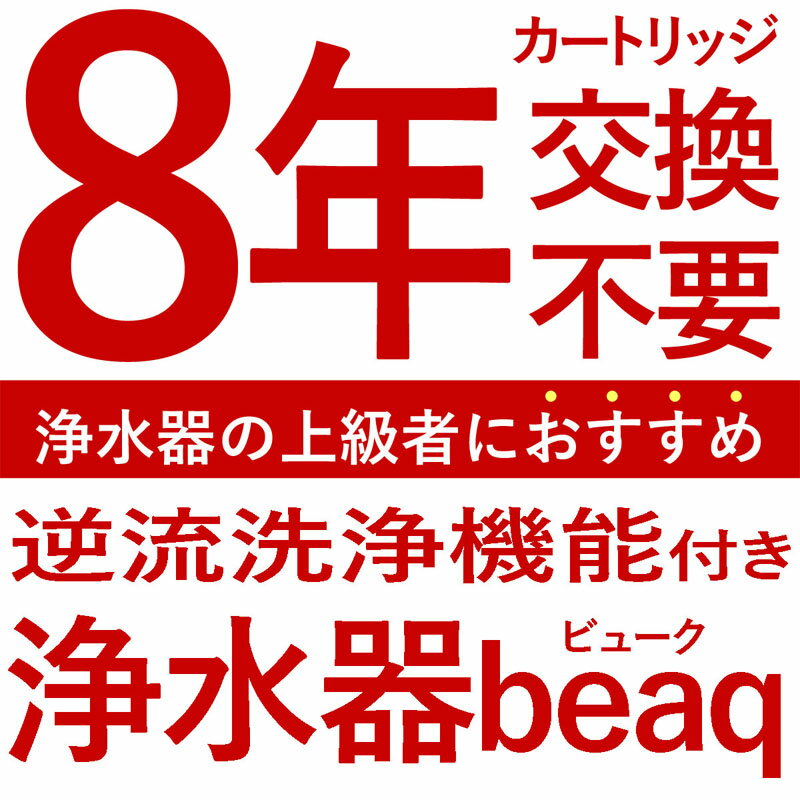 【ふるさと納税】 浄水器 ビューク 8年交換不要 逆流洗浄付 据置型浄水器 フッ素 PFAS PFOS PFOA 除去 カートリッジ 交換不要 活性炭 塩素 除去 浄水 据え置き 据置型 卓上型 蛇口 蛇口直結式 ポット型 ふるさと納税 ギフト プレゼント 岐阜県 ドリームバンク beaq サムネイル2