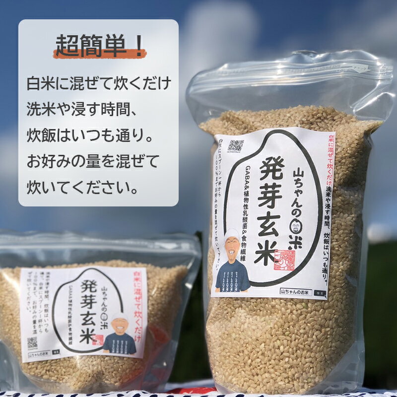 【ふるさと納税】米 お米 玄米 健康米 発芽玄米 農家直送 「山ちゃんの発芽玄米」 選べる 5kg 10kg 15kg 20kg 山ちゃん 米農家 送料無料 359 - 画像3