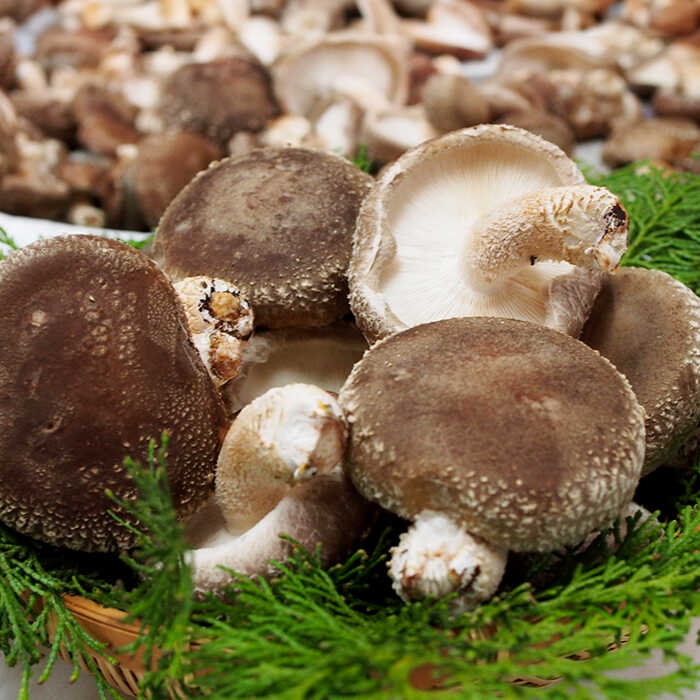 【ふるさと納税】【鍋、料理に！】原木しいたけ 三昧セット 計4袋 約770g / しいたけ きのこ 茸 椎茸 生しいたけ 乾燥しいたけ 国産 原木栽培 無農薬 無栄養剤 乾しいたけ 干し椎茸 干ししいたけ 野菜 肉厚 出汁 鍋 煮物 味噌汁 人気 岐阜 白川町 / 清水しいたけ園[AWAY001] - 画像3