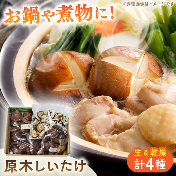 【鍋、料理に！】原木しいたけ 三昧セット 計4袋 約770g / しいたけ きのこ 茸 椎茸 生しいたけ 乾燥しいたけ 国産 原木栽培 無農薬 無栄養剤 乾しいたけ 干し椎茸 干ししいたけ 野菜 肉厚 出汁 鍋 煮物 味噌汁 人気 岐阜 白川町 / 清水しいたけ園[AWAY001]