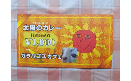 太陽のカレーキッチンカー＆ガラパゴスカフェ共通商品券10,000円分 / カレー 本格カレー 商品券 / 白川町 / ガラパゴスカフェ[AWBN004]