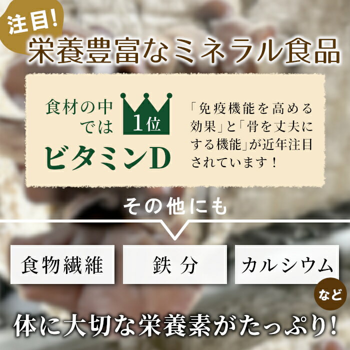【ふるさと納税】 高評価★4.76 東白川村産 乾燥 スライス きくらげ お試し15g 純国産 きのこ 乾燥きくらげ きくらげ キクラゲ 木耳 希少 高級 ビタミンD 食物繊維 おためし お試し つちのこの村 1000円 1000円ポッキリ 楽天スーパーセール サムネイル3