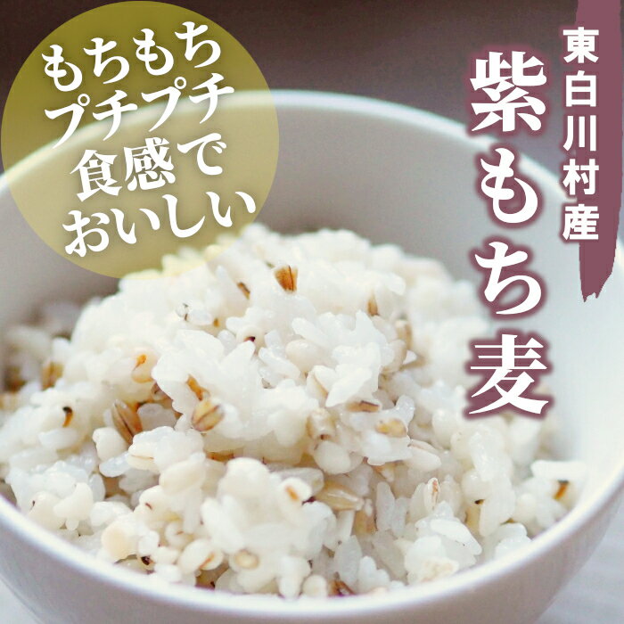 【ふるさと納税】【令和7年度産】 東白川村産 紫もち麦 ダイシモチ お試し 150g 1袋 食べきり お米 こめ 精米 ご飯 おためし 1000円 1000円ポッキリ お買い物マラソン 買い回り スーパーセール 楽天スーパーセール サムネイル2