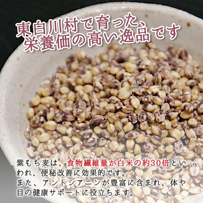 【ふるさと納税】【令和7年度産】 東白川村産 紫もち麦 ダイシモチ お試し 150g 1袋 食べきり お米 こめ 精米 ご飯 おためし 1000円 1000円ポッキリ お買い物マラソン 買い回り スーパーセール 楽天スーパーセール サムネイル3