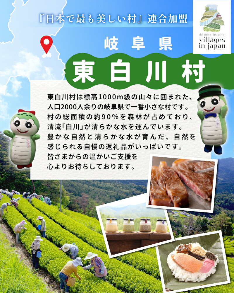 【ふるさと納税】無添加 桃太郎トマトの トマトケチャップ 5本セット トマト 野菜 ケチャップ けちゃっぷ 調味料 ソース パスタ 東白川村 楽天スーパーセール マラソン 10500円 サムネイル2