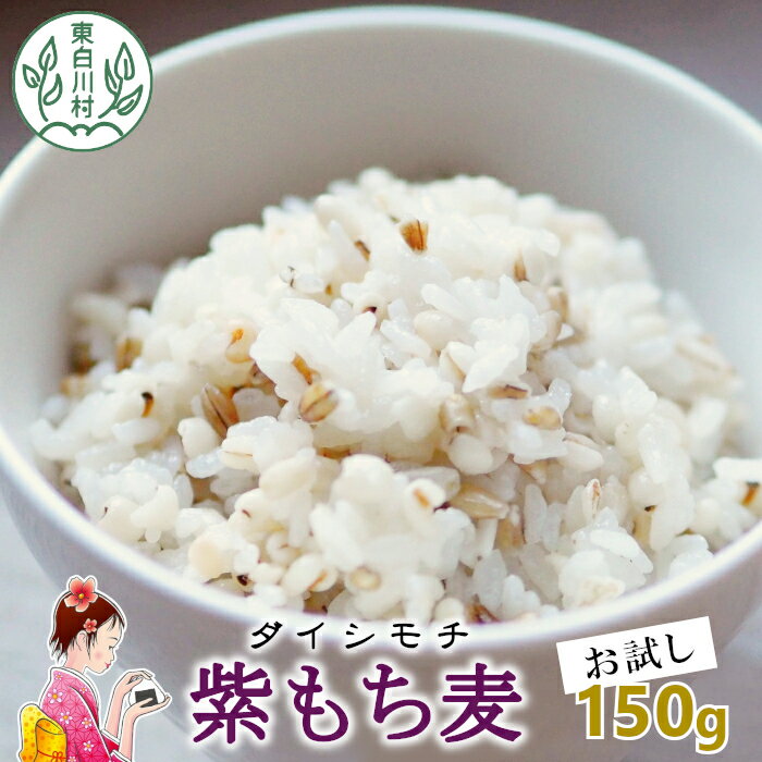 【令和7年度産】 東白川村産 紫もち麦 ダイシモチ お試し 150g 1袋 食べきり お米 こめ 精米 ご飯 おためし 1000円 1000円ポッキリ お買い物マラソン 買い回り スーパーセール 楽天スーパーセール