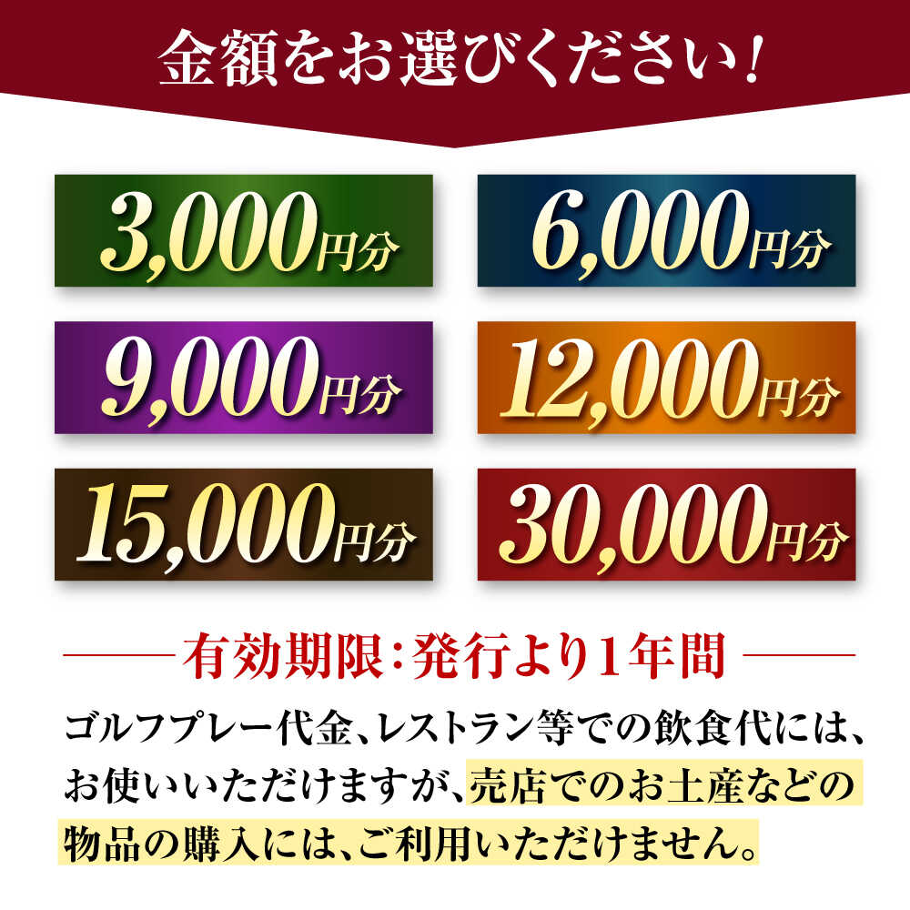 【ふるさと納税】〈金額が選べる〉サンクラシックゴルフクラブ ゴルフ場利用券 3,000円～30,000円分 フェアウェイ広め 土日祝OK アコーディア・ゴルフ 名古屋から60分 岐阜県御嵩町 チケット ゴルフプレー券 施設利用券 [AVAN003] サムネイル3