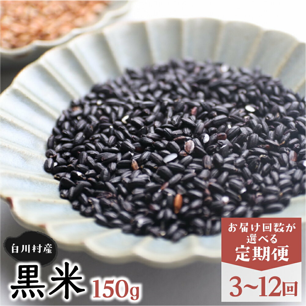 《定期便 》お届け回数が選べる 白川郷の古代米 黒米 150g 3〜12回お届け 3ヶ月 6ヶ月 12ヶ月 3回お届け 6回お届け 12回お届け 玄米 もち米 国産 紫黒米 雑穀 雑穀米 栄養豊富 岐阜県 白川村 観光地応援 9000円 18000円 36000円 [S264]